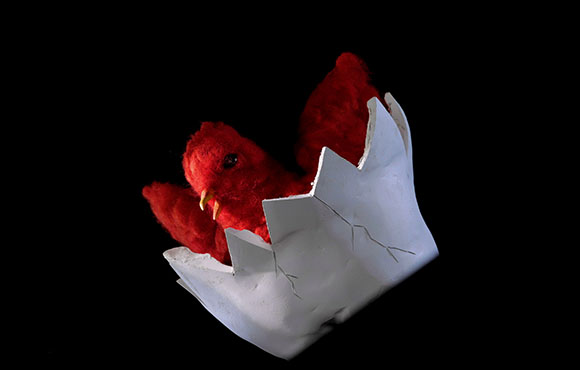 Two small, bright red fuzzy chicks emerging from a cracked white eggshell against a black background.