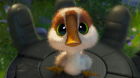 A small, fluffy white and brown duckling with large green eyes sitting on a dark gloved hand.