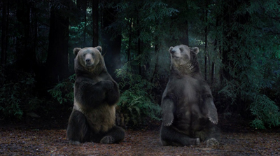 Two brown bears sitting upright on their haunches in a dark, dense forest.