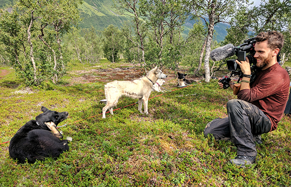 A man crouches in a field holding a professional video camera, filming two dogs in a grassy landscape.