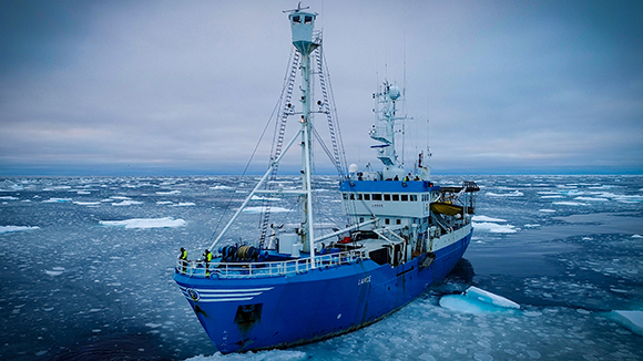 A blue ship with tall masts sailing through a sea filled with floating ice chunks under a cloudy sky.