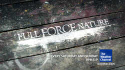 Text reading 'FULL FORCE NATURE' painted on weathered wooden planks.