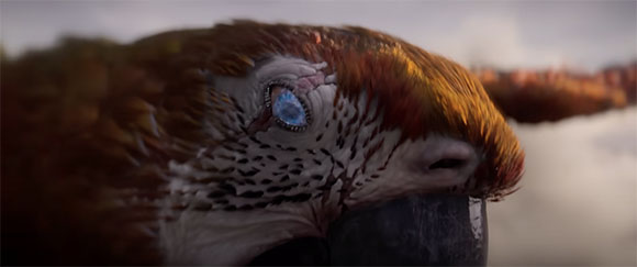 Extreme close-up of a bird's head with brown feathers and a bright blue eye.