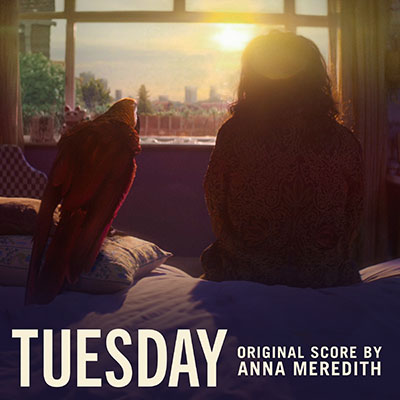 A person and a large bird sit by a window overlooking a city at sunset.