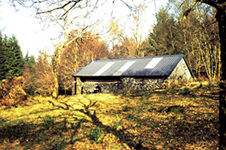 A stone building with a grey gabled roof sits among autumn trees in a sunlit forest.
