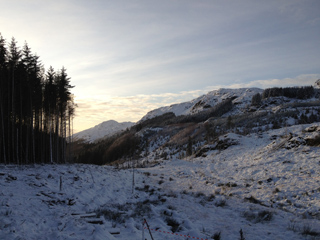 A snowy landscape featuring a dense pine forest on the left and snow-dusted mountains under a bright sky.