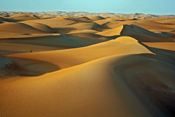 Expansive view of undulating golden sand dunes stretching toward the horizon under a blue sky.
