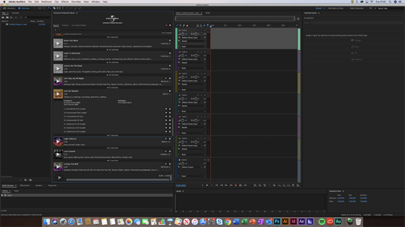 A digital audio workstation interface showing multiple audio tracks, a file browser, and a waveform editor.