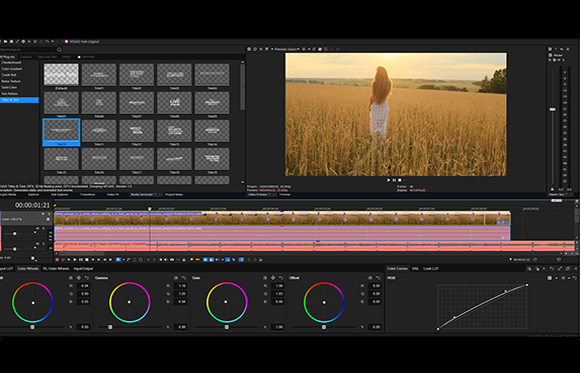 Video editing software interface showing a timeline and a preview window of a girl in a golden wheat field.