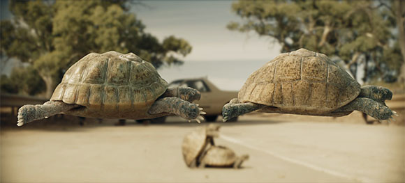Two tortoises suspended in mid-air above a road with a car and trees in the background.
