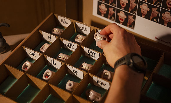 A hand reaches into a cardboard organizer containing various dental models with different tooth shapes.