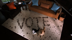High-angle view of a living room with a rug spelling VOTE and two dogs sitting on it.