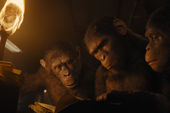 Three chimpanzees huddle together in low light, looking down toward a bright flame.