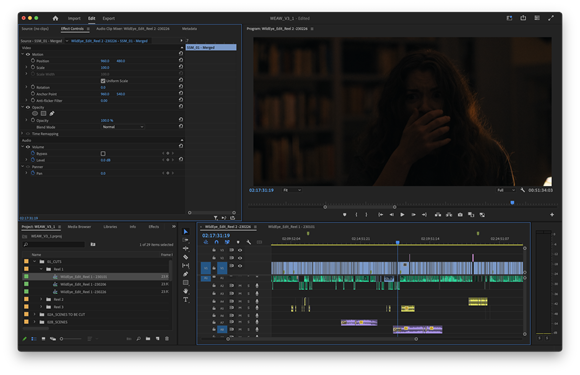 Video editing software interface showing a video preview of a person and a multi-track timeline below.