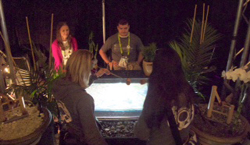 Three people stand behind a table with a glowing screen, surrounded by plants and decorative items.