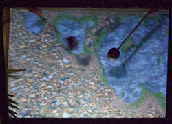 Simulated riverbed with pebbles, water, and green moss. A small, round object is visible in the water.