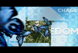 Blue butterflies fluttering over a blue background with the words CHASE and FREEDOM.