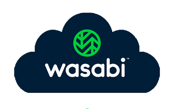 Wasabi logo featuring a green circular icon with geometric lines inside a dark blue cloud shape.