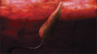 An elongated, textured organic object suspended in a dark red, hazy space.