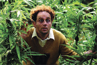 A man with curly hair peeking through dense green leafy plants with a wide-eyed expression.