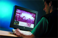A person in profile using a keyboard and looking at a computer monitor showing purple abstract imagery.