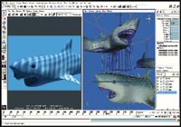 A computer screen showing 3D modeling software with digital renderings of sharks in blue environments.