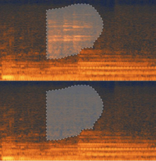 Two horizontal orange and blue spectrograms with irregular gray shapes outlined in white.