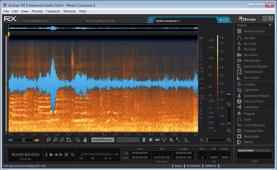 Interface of iZotope RX 5 Advanced Audio Editor showing a blue waveform and orange spectrogram.