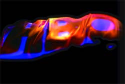 Abstract glowing shapes in vibrant red and blue against a solid black background.