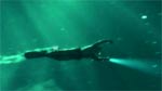 A silhouette of a person swimming horizontally underwater through beams of light in green water.