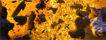 Dark, irregular fragments and rocks floating against a glowing orange and yellow background.