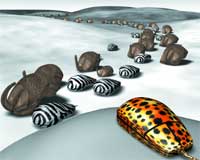 Brown and black-and-white striped oval organisms scattered across a white landscape near a large orange spotted insect.