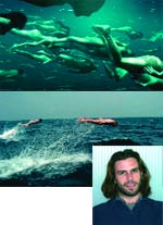Collage showing people swimming underwater, people swimming on the ocean surface, and a portrait of a man.