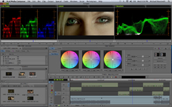 A video editing software interface showing color correction tools, waveform monitors, and a close-up of eyes.