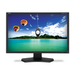 Black NEC computer monitor showing a bright landscape with blue water, green hills, and colorful hot air balloons.