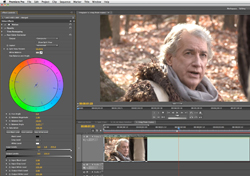 Video editing software interface displaying a man in a forest and a color grading wheel.